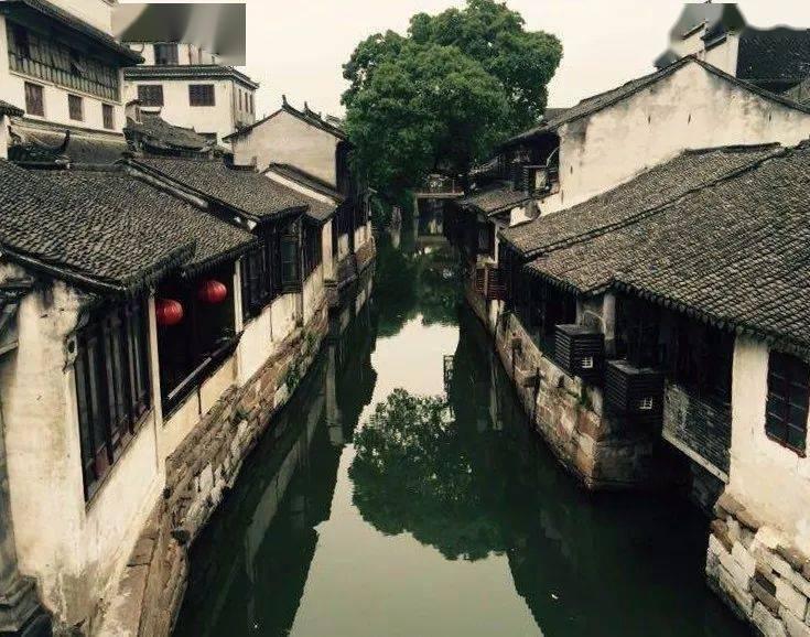 雷竞技比分